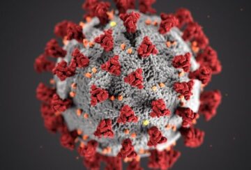 photo-1583324113626-70df0f4deaab