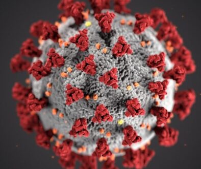 photo-1583324113626-70df0f4deaab