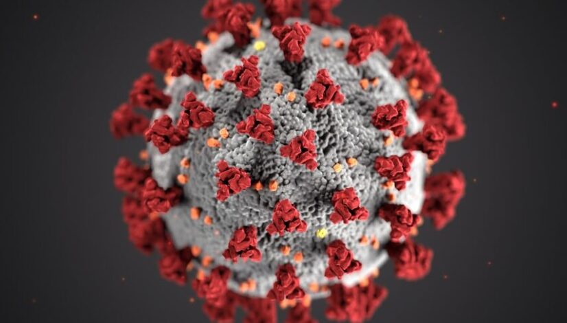 photo-1583324113626-70df0f4deaab photo-1583324113626-70df0f4deaab